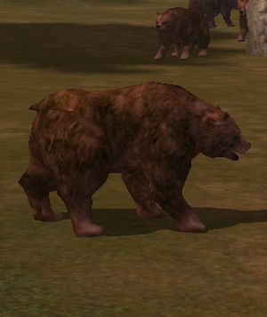 Cursed Bear.png