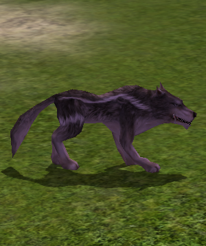 Cursed Alpha Wolf.png