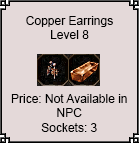 Copper Earrings.png