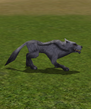 Alpha Grey Wolf.png