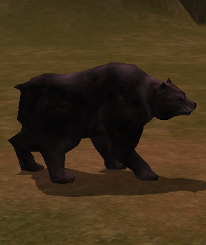 Cursed Black Bear.png