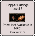 Copper Earrings.png