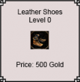 Leather Shoes.png
