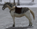 Armed Horse White.png