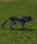 Alpha Wolf.png